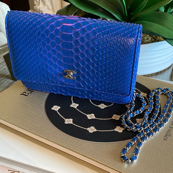 RARE ⭐️ Chanel WOC Python Blue and Pink ⭐️ NWT - Picture 3 of 15
